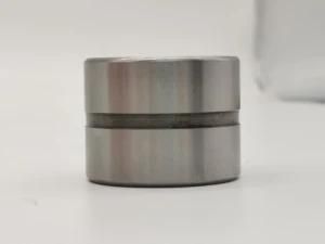 Clean Room-Compatible Needle Roller Bearing with Double Locking Ring on Outer Ring CF1 3/8sb for Motorcycles