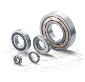 6000 6001 6201 6202 6301 6302 Zz 2RS Deep Groove Ball Bearing