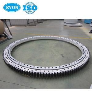 Slewing Ring Bearing Swing Bearing (XA200352)