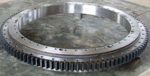 Slewing Ring Bearing E30d Series (E. 1476.45.15. D. 1-RV)