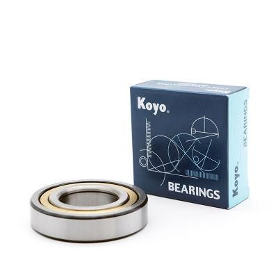 Durable Rolling Mill Vibrating Screen Reduction Box Cylindrical Roller Bearing Nfp38/600X2q4
