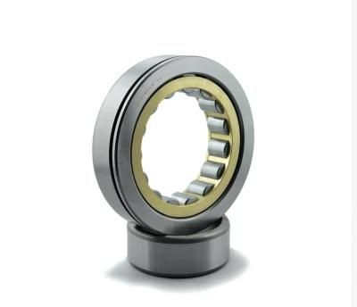NSK Heavy Machinery Bearings Nu405 Nu407 Nu409 Nu411 Nu413 Nu415 Cylindrical Roller Bearing