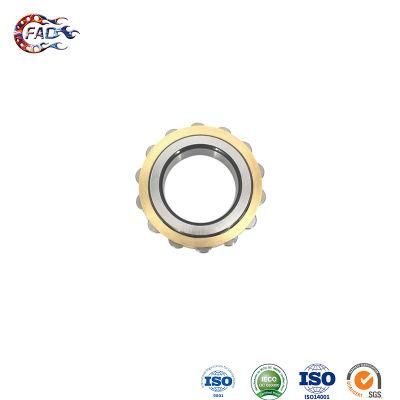 Xinhuo Bearing China 6203 Bearing Supply 6301 Zz Bearing NF214e Axial Cylindrical Roller Bearing