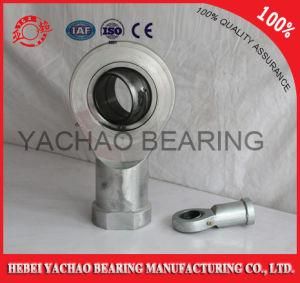Phs Series End Joint Bearings with Many Sizes