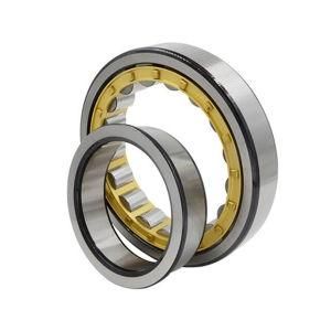 Cylindrical Roller Bearings N303ecp Nj303ecp Nu303ecp N204ecp Nj204ecp Nu204ecp Nup204ecp Nj204ecpha Nu204ecpha Nup204ecpha Nj204ecml Nu204ecml