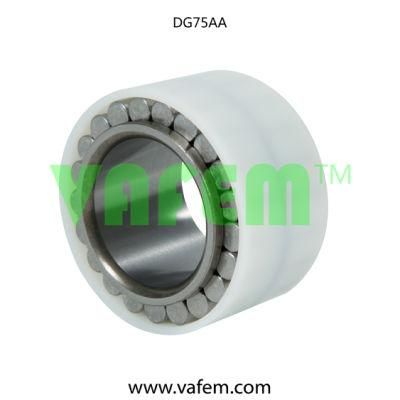 Cylindrical Roller Bearing Dg75AA/Roller Bearing/Full Complement Roller Bearing/China Factory