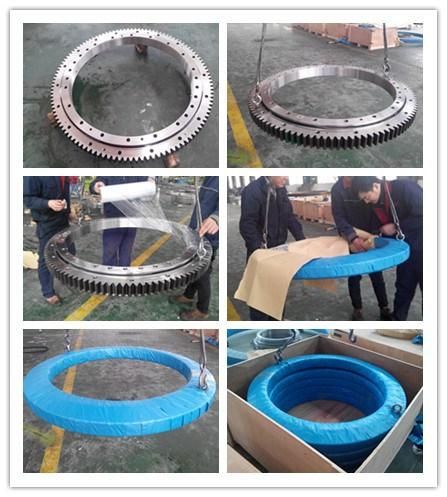 Light Type Slewing Ring Bearing Slewing Gear231.20.0900.013