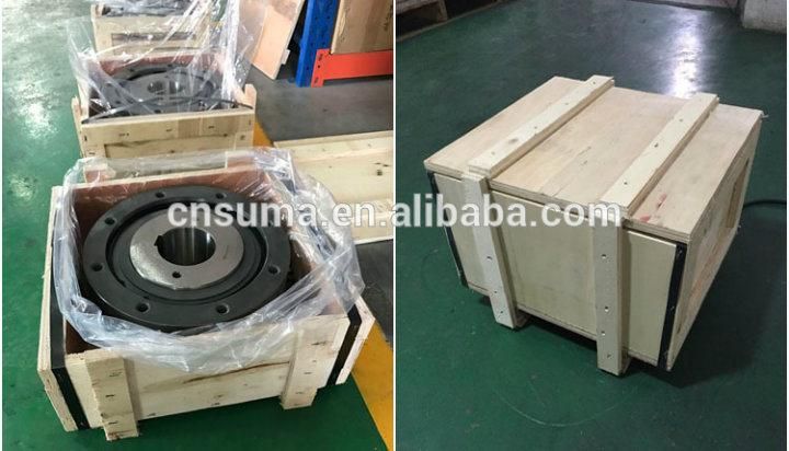 Cam Clutch BS Series One Way Backstop Clutch for Device Conveyor