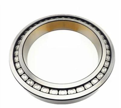 Made in China Yoch Single Row Full Complement Cylindrical Roller Bearing SL182204