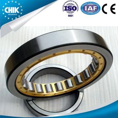 Rn309 Rn309m Cylindrical Roller Bearing Supplier Single Row Carbon America Business Custom OEM Europe Ste