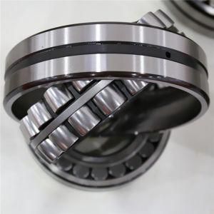 Spherical Roller Bearings 22219e 22219ek BS2-2219-2RS/Vt143 21319e 21319ek 22319e 22319eja/Va405 22319ek