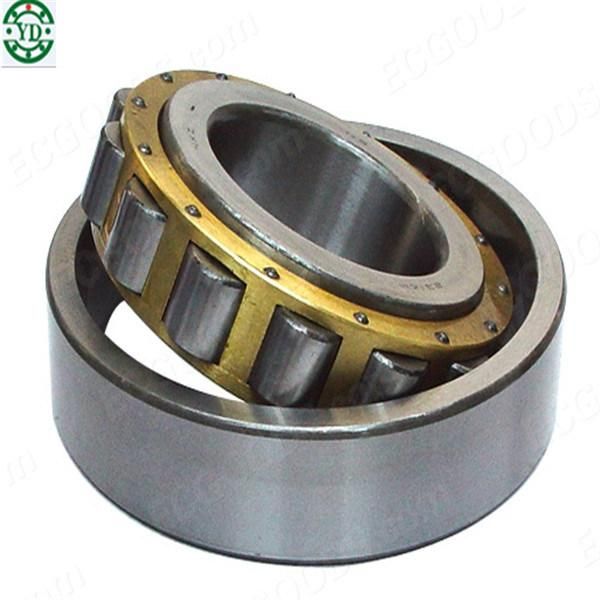 Chrome Steel Inner Ring Single Row Cylindrical Roller Bearing