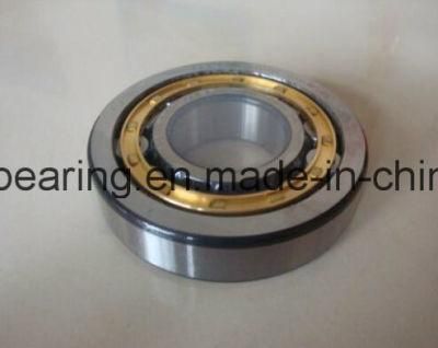 Nu2207ecp NSK Cylindrical Roller Bearing Nu2207em NSK Bearing