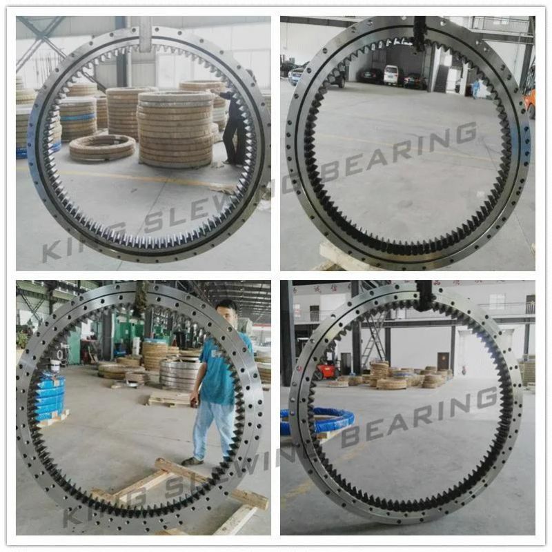 R225-7 81qb-01021 Excavator Slewing Ring Bearing Made in China