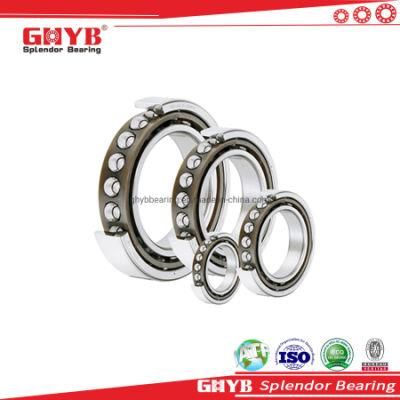 China Factory Emq Gcr-15 NSK NTN Angular Contact Ball Bearing with Nylon/Steel