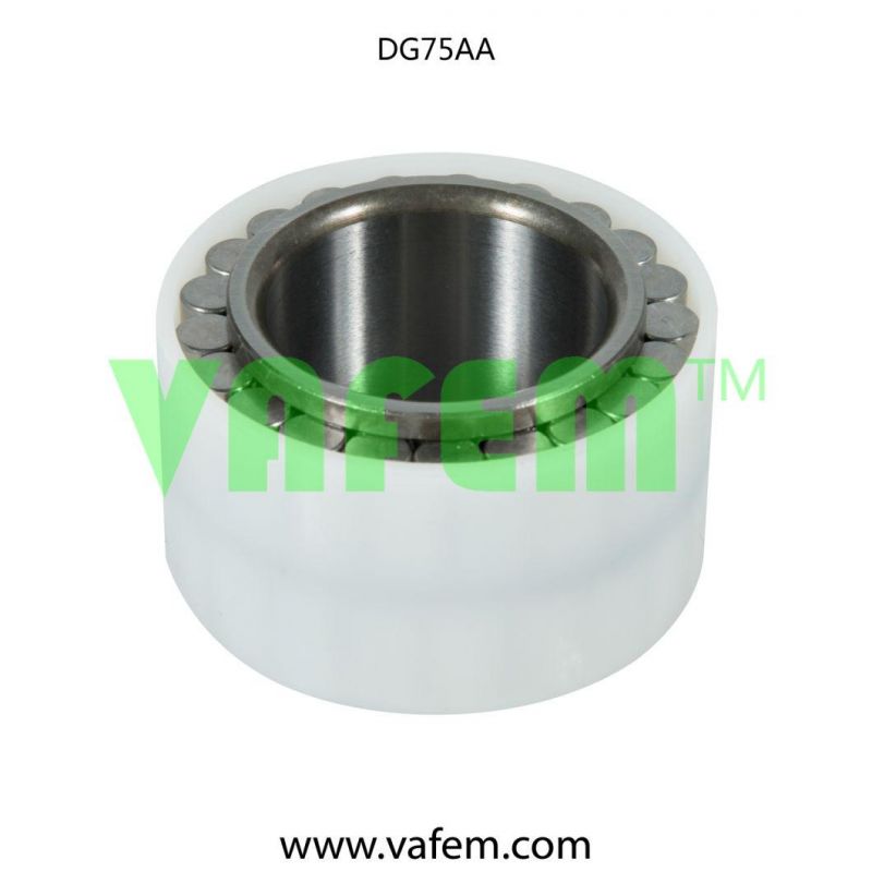 Cylindrical Roller Bearing Dg75AA/Roller Bearing/Full Complement Roller Bearing/China Factory