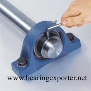 Pillow Block Bearing Unit Sbpf206-19 with Pressed Steel Housing PF206