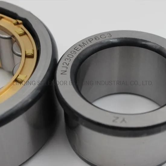 Nu/Nj/Nup/N/NF Series Single Row Cylindrical Roller Bearings (NJ1005EM NJ2309EM N2310EM N2311EM N2312EM N2313EM)