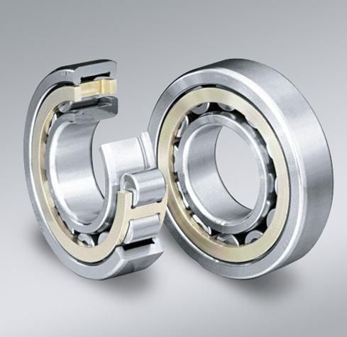 Cylindrical Roller Bearing Nup309 Cement Mixer 90m100