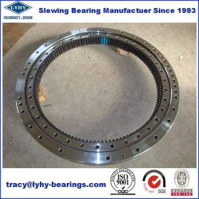 Slewing Bearings with Internal Teeth for Drilling Machine Zb1.20.0744.201-2sptn