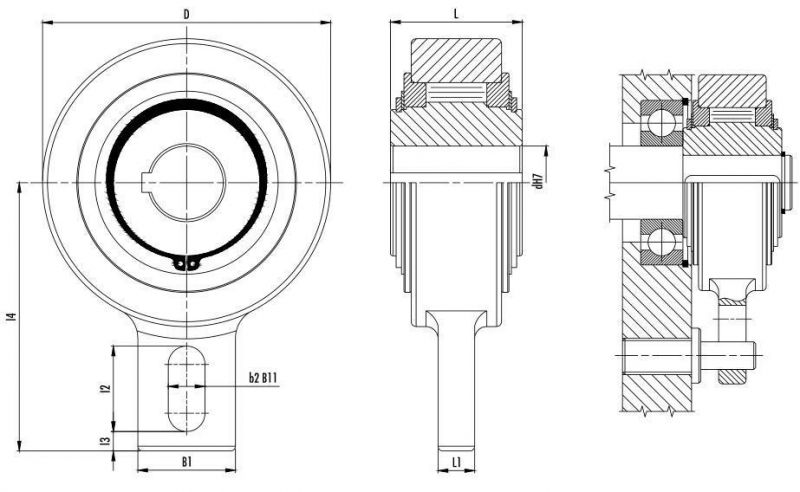 Gvg60 Gvg 60 One-Way Backstop Clutch Bearings Sprag Freewheels