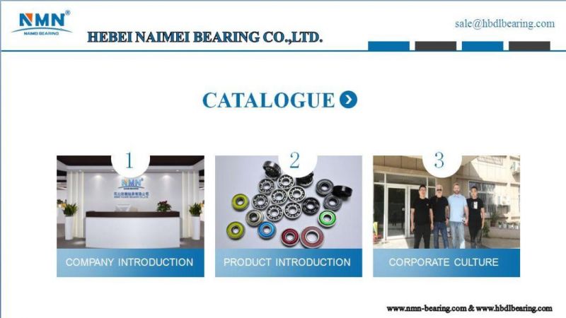 Deep Groove Ball Bearing Price List 6011 2RS Zz Ee Llu DDU Zn Nr C0 C3 55*90*18mm Steel Ball Bearing