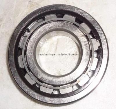 Cylindrical Roller Bearing Nn3080