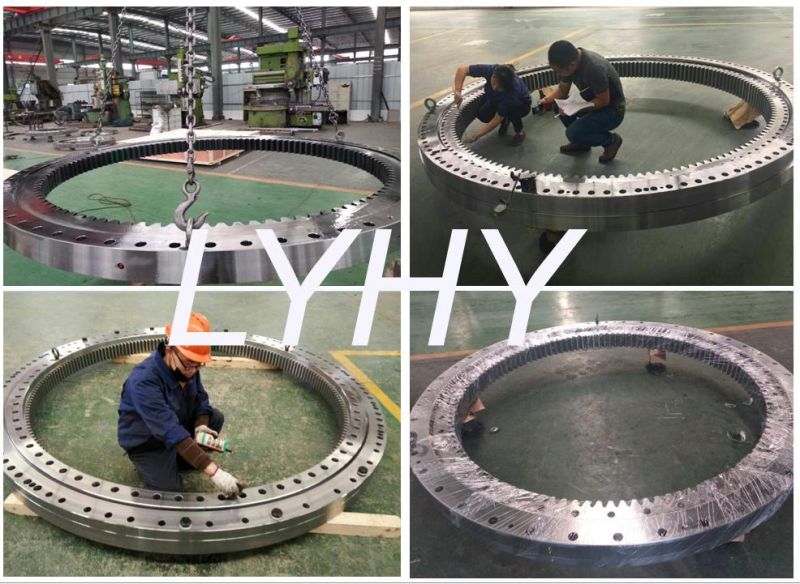 Rotek Turntable Bearing (A16-152E2) External Toothed Swing Bearing for Offshore Harbor Marine Deck Crane Geared Bearing Slew Ring Bearing