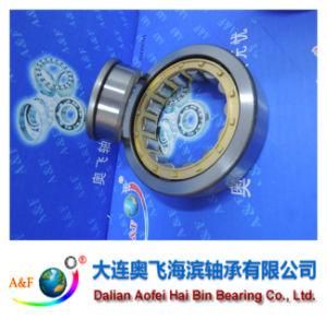 A&F Bearing/ Cylindrical Roller Bearing NJ311M