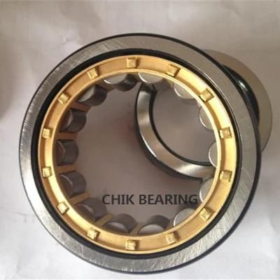 High Quality Auto Bearing Car Bearing Cylindrical Roller Bearing NJ206eCP/C3 NJ218M