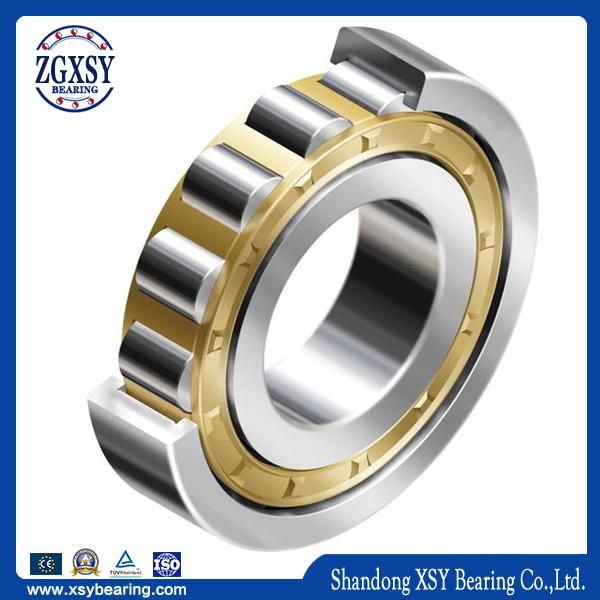 Nu Type N212 Nu19/500 Cylindrical Roller Bearing