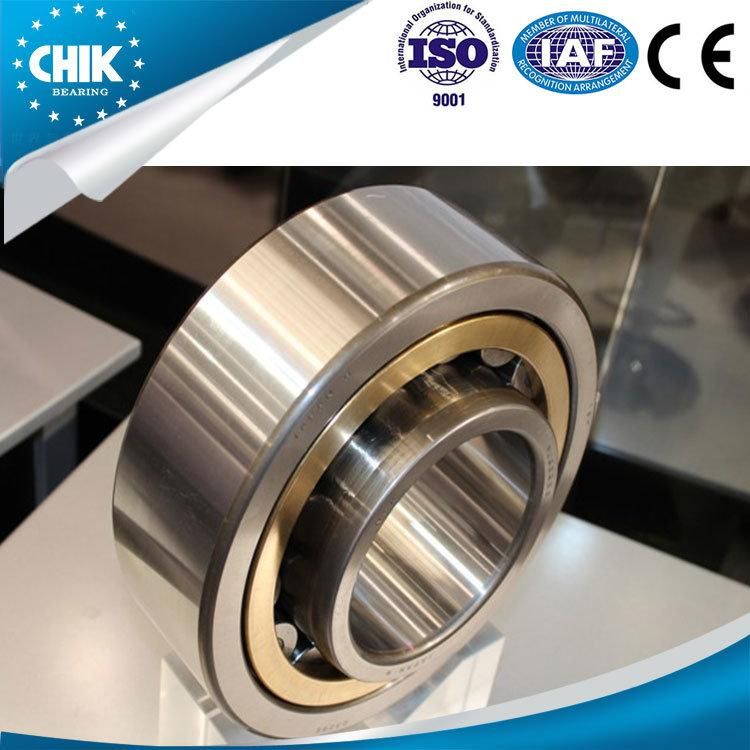 Chik/NSK/SKF/NTN/Koyo/Timken Brand Nu202~Nu244 Model Cylindrical Roller Bearing