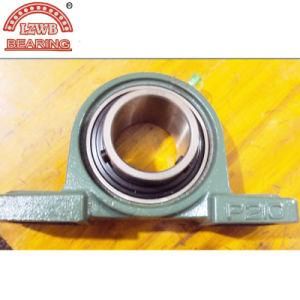 High Precision Long Service Life Pillow Block Bearing (UCPH213)