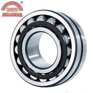 Large Size Spherical Roller Bearing with Competitive Price (24132EX1)