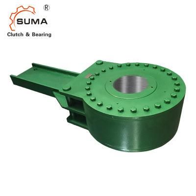 Backstop Clutch with Torque Arm Used for Colliery Dsn Frhd