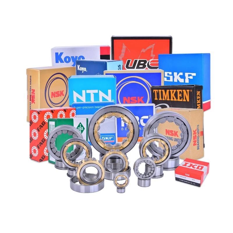 NSK NTN Roller Bearing NF208em NF209em NF210em Cylindrical Roller Bearing