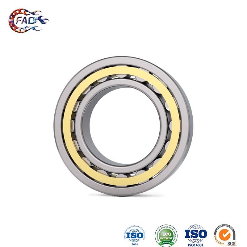 Xinhuo Bearing China Clutch Release Bearing Supply 6300 Bearing Price N230em Cylindrical Roller Thrust Bearing