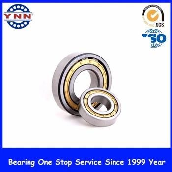 Cheap and Stable Performance Cylindrical Roller Bearings (NJ 321)