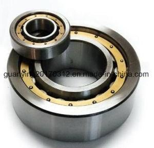 Hot Sale Cylindrical Roller Bearing Nu 313 C3