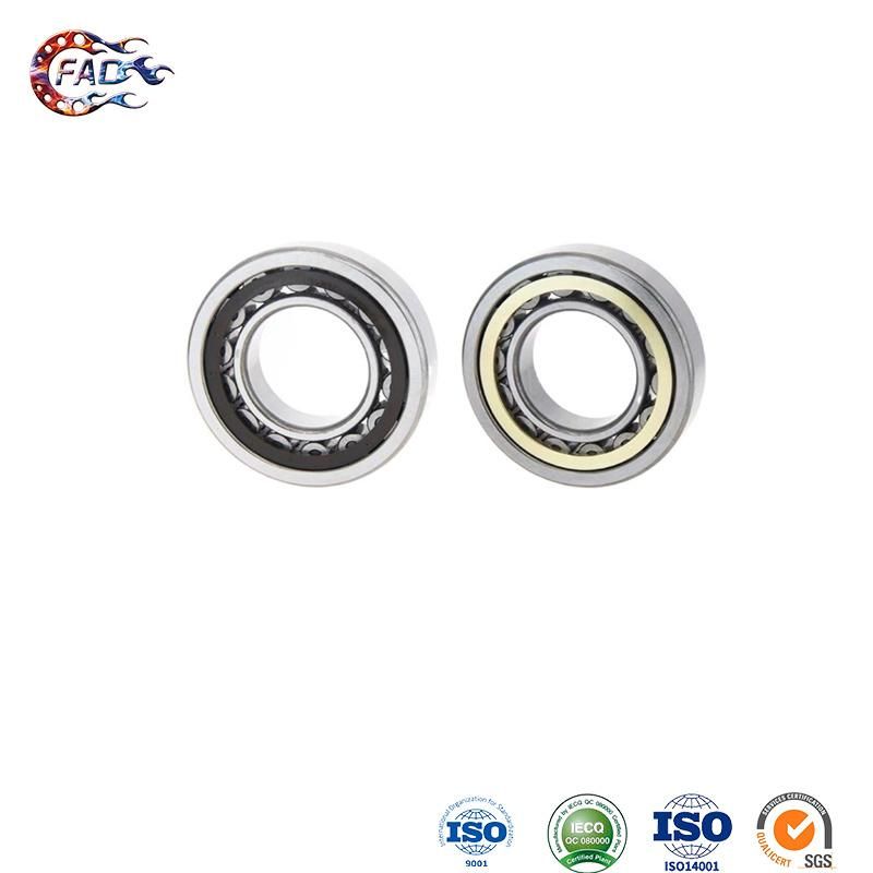 Xinhuo Bearing China Cutless Bearing OEM 2206 2RS Nj313e Cylinder Roller Bearing