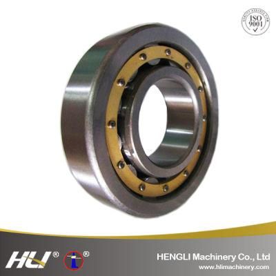 Competitive Pirce Single Row Cylindrical Roller Bearing With Precision Grade N317EM NU317EM NJ317EM N318EM NU318EM NJ318EM Roulements