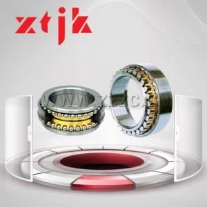 Reasonable Price Good Quality Double Row Cylindrical/Ball Roller Bearing