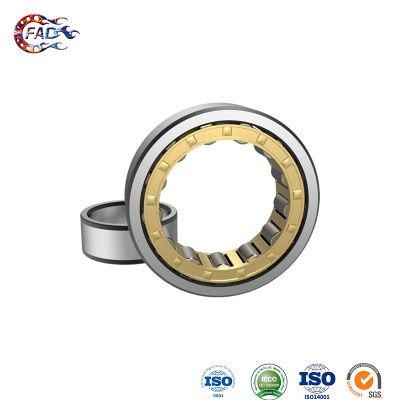Xinhuo Bearing China 6202z Bearing Factory 625z Bearing Nu309e Double Row Cylindrical Roller Bearing