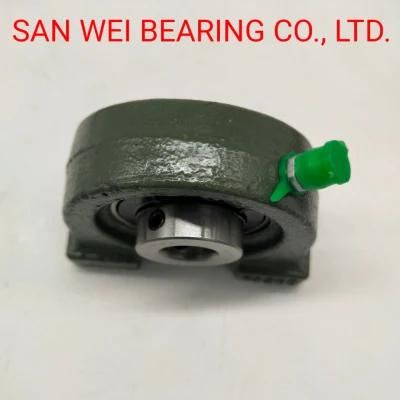 Gold Supplier Pillow Block Bearings for (UCP205, UCF206, UCT208, UCFC210, UCFL212)