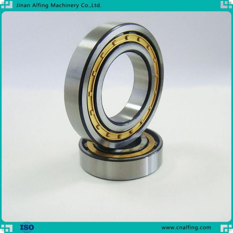 Roller Bearing Rollercylindrical Cylindrical Roller Bearing