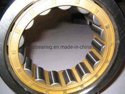 Cylindrical Roller Bearing (42244/NJ244)