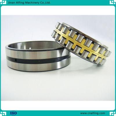 Double Row Chrome Steel Cylindrical Roller Bearing Size High Performance