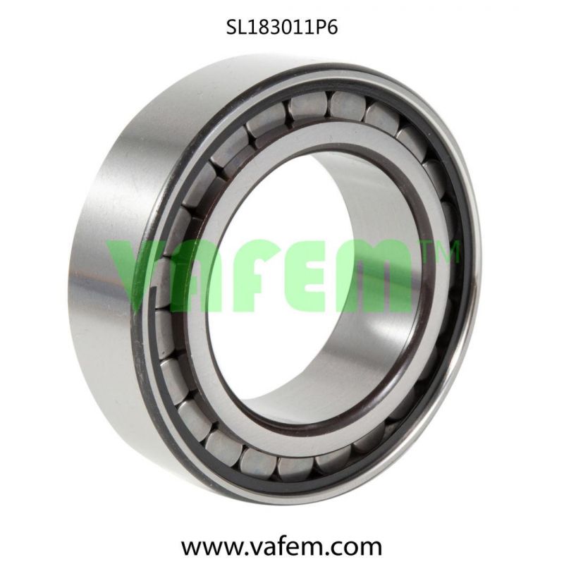 Cylindrical Roller Bearing Dg75AA/Roller Bearing/Full Complement Roller Bearing/China Factory