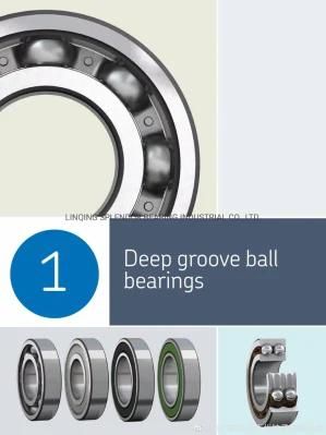 China Factory Distributor Supplier of Deep Groove Ball Bearings for Motors, Compressors, Alternators 6007-2rz/Z2V2