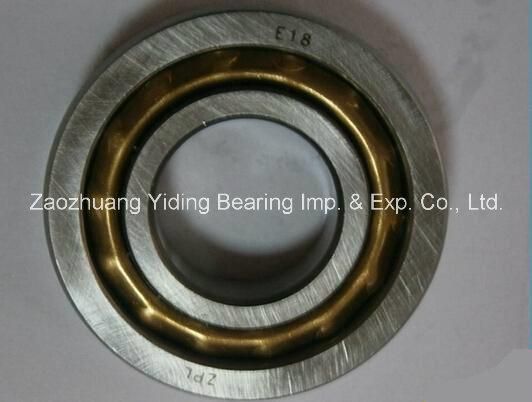 Magneto Ball Bearing NSK L17 E17 B017 E18 Motor Bearing in Stock